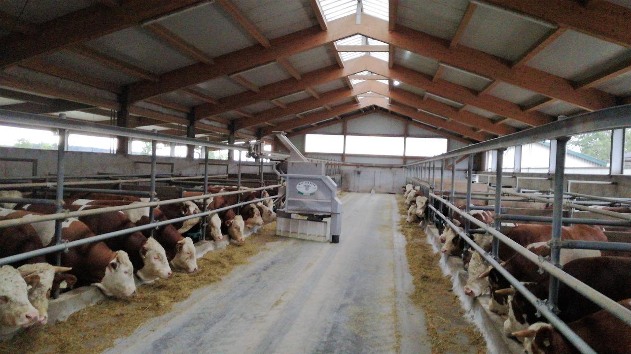 فيلا Familienbauernhof Strassbauer Steinakirchen Am Forst المظهر الخارجي الصورة
