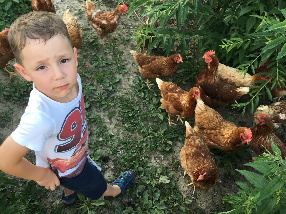فيلا Familienbauernhof Strassbauer Steinakirchen Am Forst المظهر الخارجي الصورة